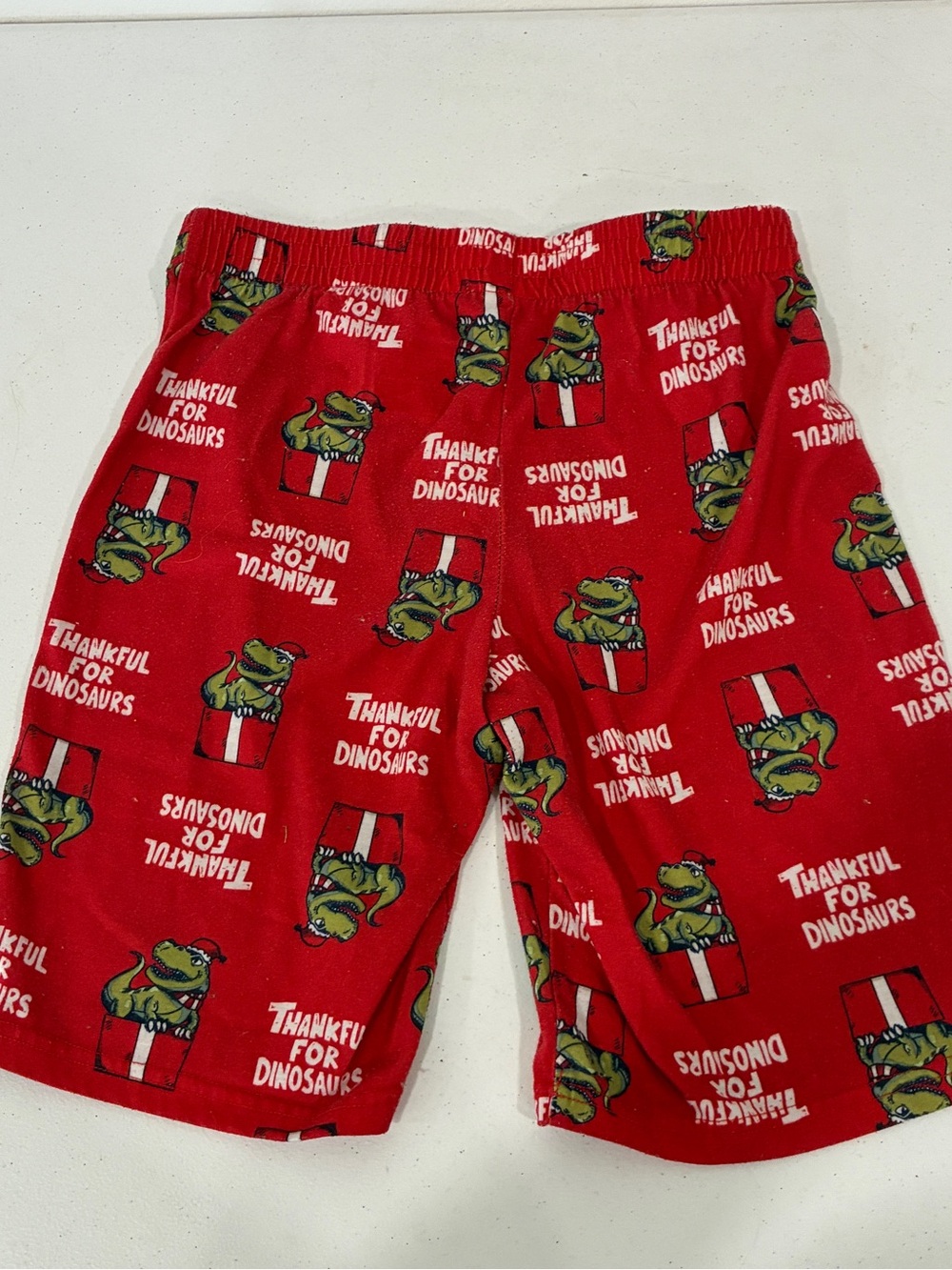 Cat & Jack Boys Size L 12/14 Red Thankful For Dinosaurs Christmas Pj Sleep Short